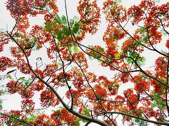 CDPR未来“大部分”游戏将加入多人模式以扩展体验